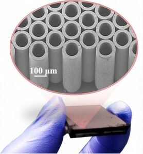 Graphic of the new material, which has a novel architecture that consists of numerous micrometer-scale cylinder structures, each made of many carbon nanotubes. These structures give the material its extraordinary shock absorbing properties. RAMATHASAN THEVAMARAN