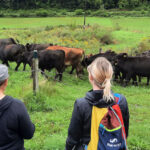 Photo of students meeting with farmers during the Ag-Water Nexus field trip.