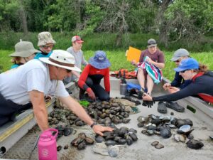 Photo of students and faculty identifying 10 types of native mussels./Photo by Rebecca Doyle-Morin