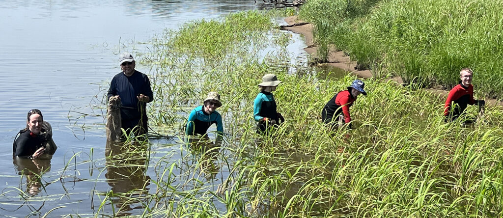 Photo of UW-Platteville students and faculty searching for native mussel species./Photo by Rebecca Doyle-Morin