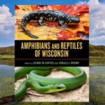 Photo of Josh Kapfer, ’99 & ’02, who is the co-author and primary editor “Amphibians and Reptiles of Wisconsin,” a new book offering a detailed look at these organisms. Kapfer is a professor and certified wildlife biologist at UW-Whitewater.