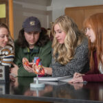 Photo of students examining models of human organs. A renewed research agreement between Mayo Clinic Health System in Northwest Wisconsin and UW-Eau Claire will give both undergraduate and graduate students unique opportunities to collaborate with Mayo Clinic Health System doctors, nurses and health care professionals.