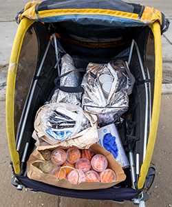 Photo of fresh food filling a bicycle trailer. (UWM Photo/Elora Hennessey)