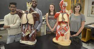 Photo of UW-Parkside RUSCH students with anatomy model