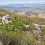 Photo of three biology students who worked with Dr. Nora Mitchell, an assistant professor of biology, in South Africa this summer collecting research data on plant pollination in one of the world’s biodiversity hotspots.