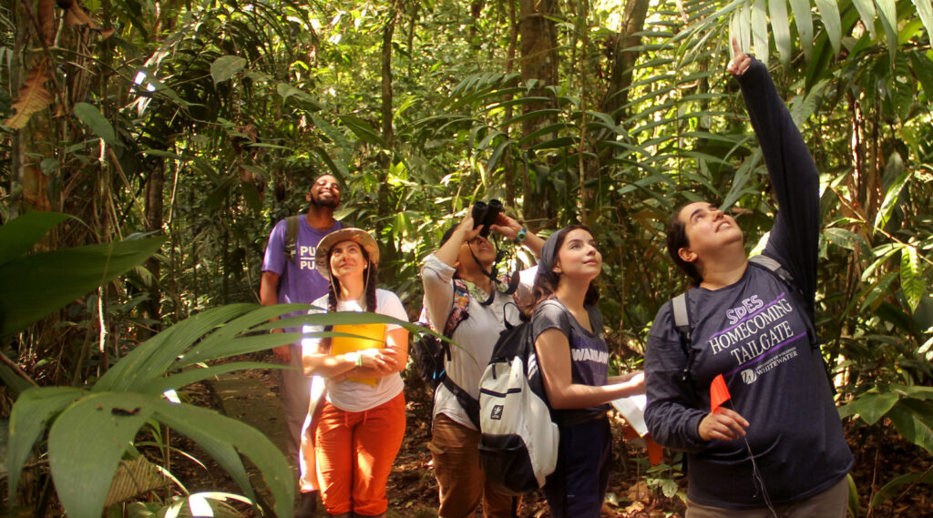 Photo of, from left, Miles McIntosh, Mireia Hernandez Justicia, Wendy Kamora, Tania Limón Ramirez, and Andrea Romero in the jungle of Costa Rica. Limón Ramirez, McIntosh, and Hernandez Justicia are undergraduate students from UW-Whitewater, Kamora is a student from University of California, Berkeley, and Romero is a UW-Whitewater faculty member who served as a faculty member on the project. (Photo courtesy of program participants)