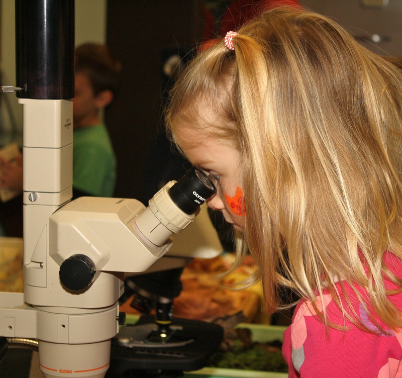 Photo of child looking through a microscope. Museum and planetarium shows for children are part of the free Junior Scientist program at UW-Stevens Point this fall.