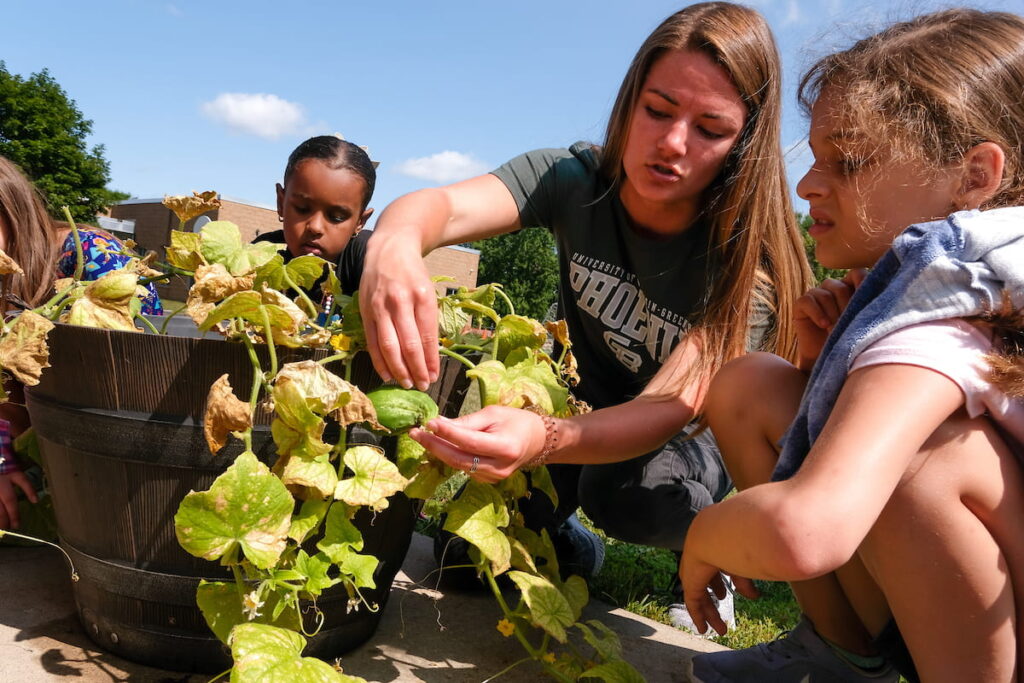 Photo of graduate student Heather Wilke, (wearing Phoenix shirt) majoring in MS Nutrition and Integrated Health at UW-Green Bay, working with a child on harvesting cucumbers from the garden during their summer practicum at the Boys & Girls Club of Greater Green Bay. All photos from UW-Green Bay, Sue Pischke University Photographer