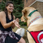 Photo of UW-River Falls student Grace Johnson showing Copper, a dog she will help train to be an assistance animal, her open hand after feeding him a treat after Copper and other dogs were dropped off at UWRF Sept. 14. Johnson is one of 21 students who will work with 10 assistance dogs on campus as part of the new Falcon FETCH (Fostering Education Through Campus Hosting) program. UWRF photo.