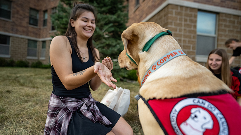 Photo of UW-River Falls student Grace Johnson showing Copper, a dog she will help train to be an assistance animal, her open hand after feeding him a treat after Copper and other dogs were dropped off at UWRF Sept. 14. Johnson is one of 21 students who will work with 10 assistance dogs on campus as part of the new Falcon FETCH (Fostering Education Through Campus Hosting) program. UWRF photo.