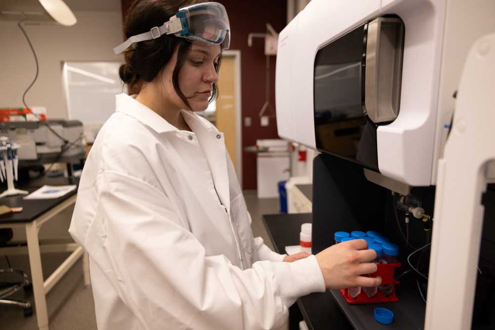 Photo of UWL Senior Katie Peterson preparing samples. To simulate entering the stomach, samples of rubber play surface, wood chips and sand are added to acidic solutions, shaken up and heated at body temperature for two hours, the amount of time the sample would be in someone’s stomach. To simulate a being put in the mouth, a clean water solution is used instead of the acid solution.
