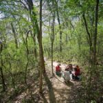 Photo of 2019 forest bathing experience led by Namyun Kil, UW-La Crosse associate professor of Recreation Management & Recreation Therapy.