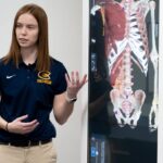 Photo of Hannah Geisler, an ad hoc program specialist in kinesiology, using the Anatomage table to instruct Blugolds in an anatomy class.