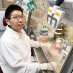 Photo of Yuanwei Yan, a scientist in the Zhang lab at UW–Madison, where researchers have developed new printing methods to grow brain tissues for use in the study of neurodevelopmental disorders like Alzheimer’s and Parkinson’s diseases. Photo by Xueyan Li