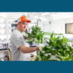 Photo of UW-Platteville hydroponics lab