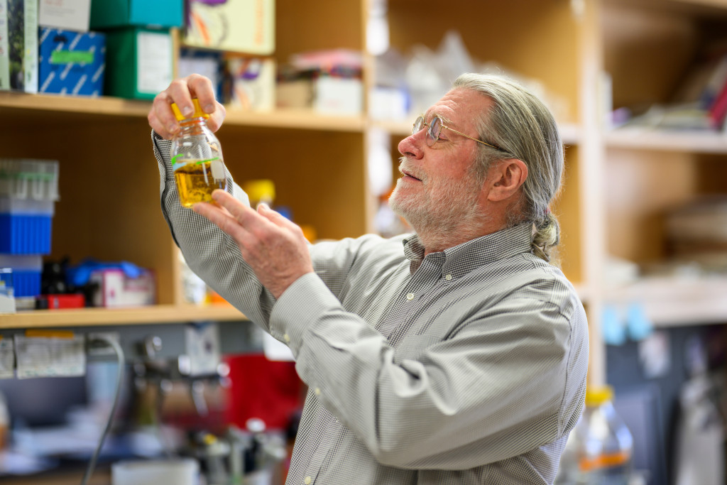 Photo of UW–Madison biochemistry professor Brian Fox, who helped to develop a genetic alteration in poplar trees so they can produce an industrial chemical commonly used as a preservative and in synthetic fibers. Photo: Althea Dotzour