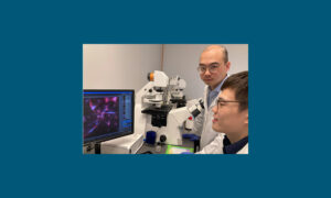 Photo of Qingsu Cheng (left), assistant professor of biomedical engineering at UWM, examining magnified images of fibroblast cells with post-doctoral researcher Michael Weizheng Wang. Cheng has received funding to investigate the interactions of fibroblasts with breast cancer cells during radiation treatment. (UWM Photo/Laura Otto)