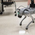 Photo of robotic dog at UW-Eau Claire