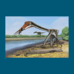 Photo of a rendering of a speculative life restoration of the Infernodrakon hastocollis dinosaur as it is foraging. (Illustration by Jun-Hyeok Jang as it appeared in a recent edition of the Journal of Vertebrate Paleontology.)