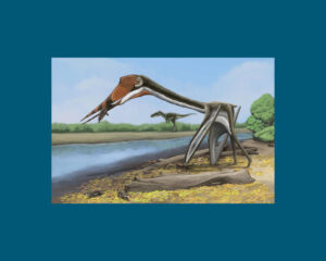 Photo of a rendering of a speculative life restoration of the Infernodrakon hastocollis dinosaur as it is foraging. (Illustration by Jun-Hyeok Jang as it appeared in a recent edition of the Journal of Vertebrate Paleontology.)