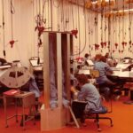 Photo: Dylan Helwig, a senior history major at the University of Wisconsin–Eau Claire, is researching the history of Cray Inc., a company credited with building the first true supercomputer in 1976. In this photo, wiring tools hang from the ceiling to prevent damage, a practice recommended by Cray employee Sonja Gardner and still used today. (Historic photo provided by the Chippewa Falls Museum of Industry and Technology)