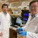 Photo: Xiaoli Ma (left), associate professor of materials science and engineering, and Yin Wang, associate professor of civil and environmental engineering, show a tray of tiny water samples they will load into the equipment for PFAS detection. (UWM Photo/Laura Otto)