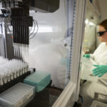 Photo: With the help of a robotic liquid handler, UW–Madison researchers at the Wisconsin Veterinary Diagnostic Laboratory (WVDL) are testing some 5,000 milk samples per month to monitor and prevent H5N1 bird flu outbreaks in the state’s dairy cattle. Photo: Taylor Wolfram / UW–Madison