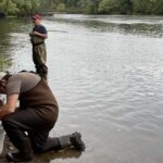 Photo: Students and faculty collect collect aquatic insects at Treehaven during their first on-site training session with BenthicNet.