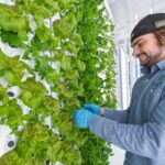 Photo: Fork Farms Farm Manager Nick Varner tends the cutting-edge, indoor hydroponic garden at UWSP at Marshfield, where produce grown will be served to patients, staff and visitors at Marshfield Clinic as well as community members thanks to a collaboration between UWSP at Marshfield, Marshfield Clinic region of Sanford Health and Fork Farms.