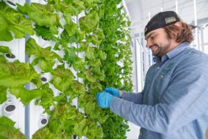 Photo: Fork Farms Farm Manager Nick Varner tends the cutting-edge, indoor hydroponic garden at UWSP at Marshfield, where produce grown will be served to patients, staff and visitors at Marshfield Clinic as well as community members thanks to a collaboration between UWSP at Marshfield, Marshfield Clinic region of Sanford Health and Fork Farms.