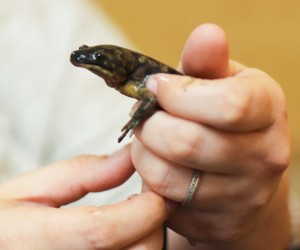 UW-Baraboo/Sauk County Research Connects Campus and Community