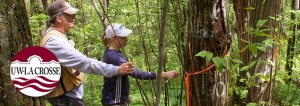 Save the trees! UW-La Crosse researchers, students work toward American chestnut disease cure