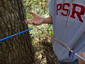 Local landowners assist UW-Platteville tree ring research