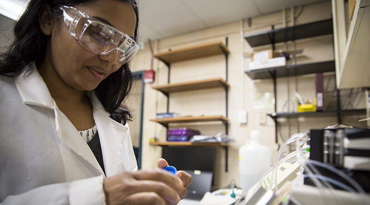 Anuja Patel, a student at Gateway Technical College, works in the lab at UWM's School of Freshwater Sciences. Research in the lab is part of the Water SYS-STEM internship. (IWM Photo/Derek Rickert)