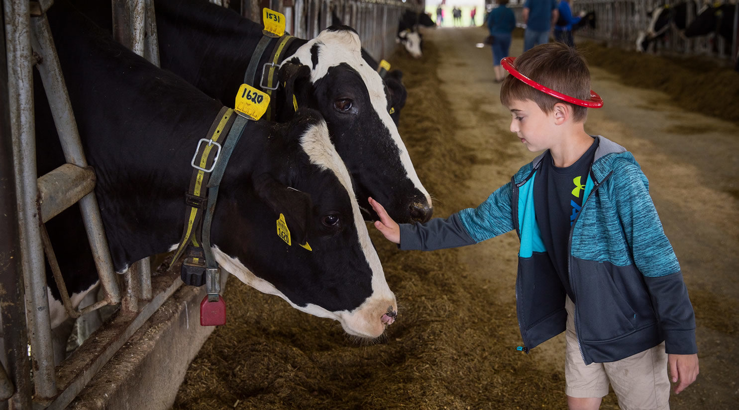 UW-Platteville’s Pioneer Farm hosted Lafayette County Dairy Breakfast