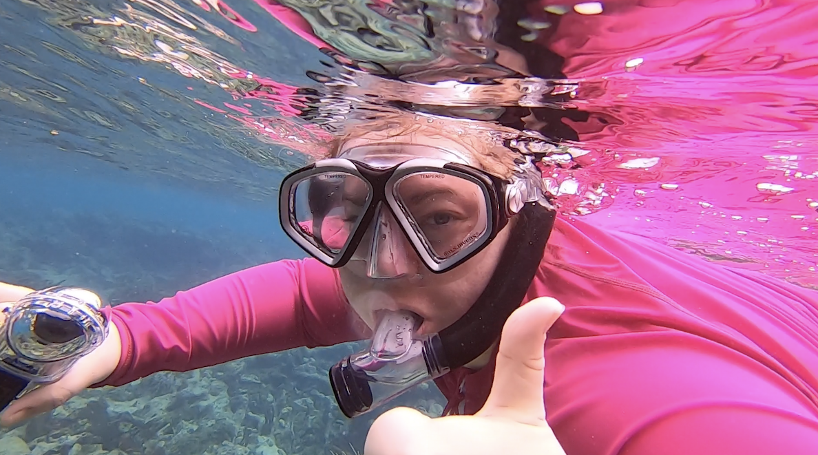 Connecting K-12 to UW-La Crosse Caribbean research