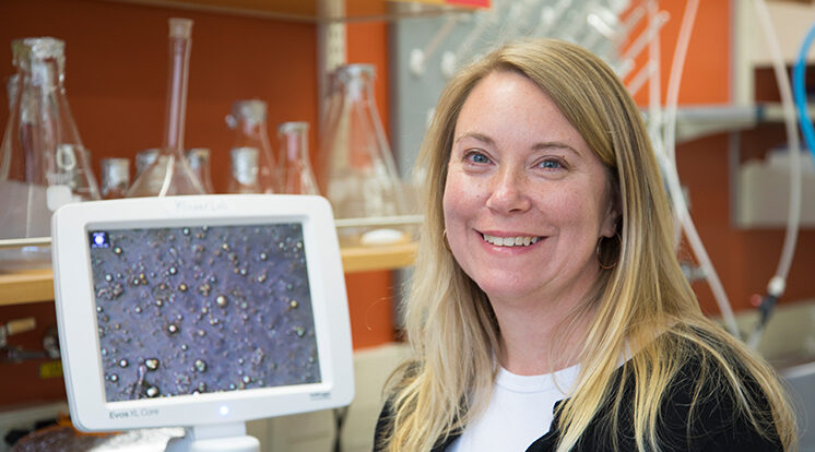 Renewed funding fuels UW-Milwaukee study of sustainable nanotechnology