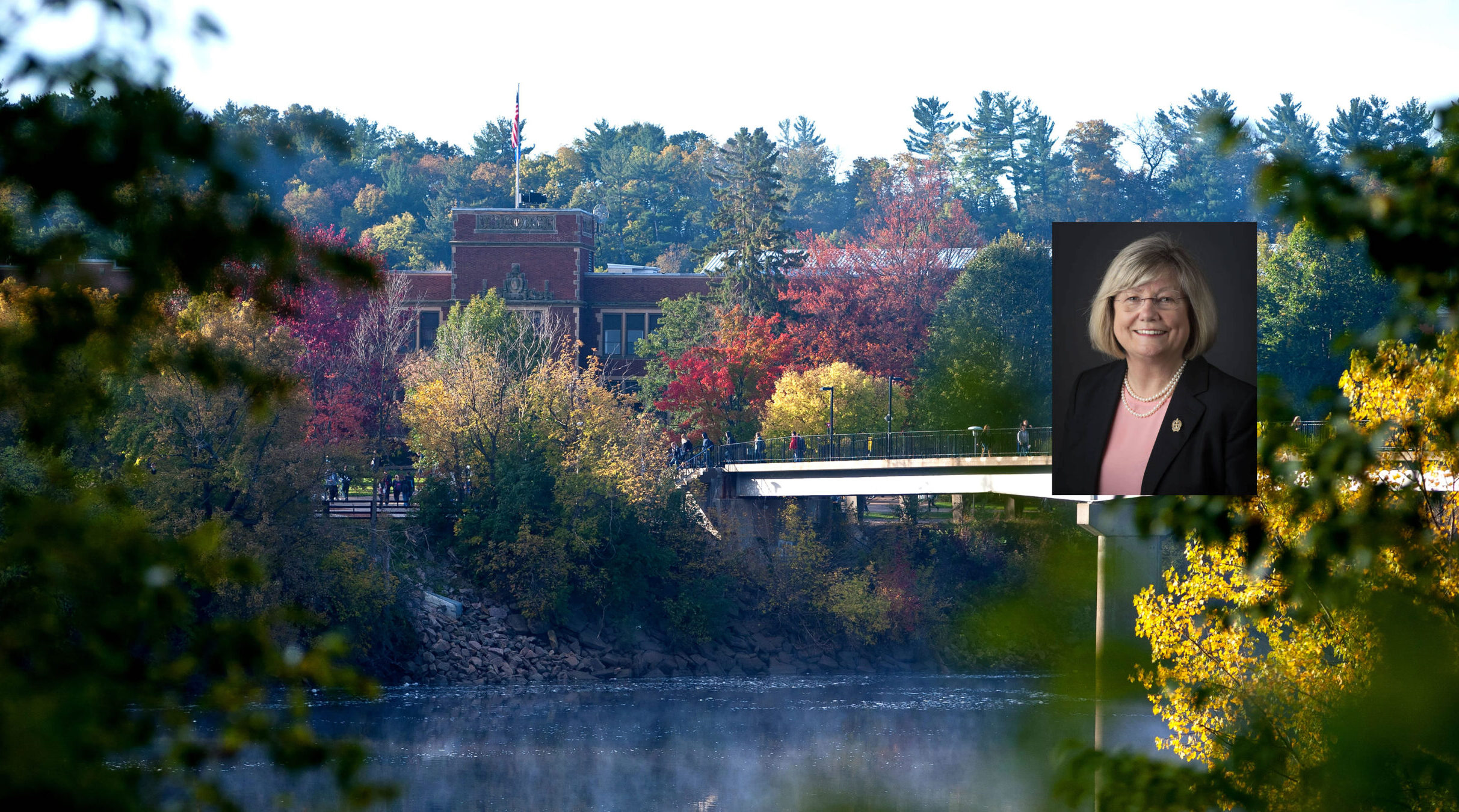 UW-Eau Claire Dean Linda Young inducted into American Academy of Nursing class of 2020 fellows