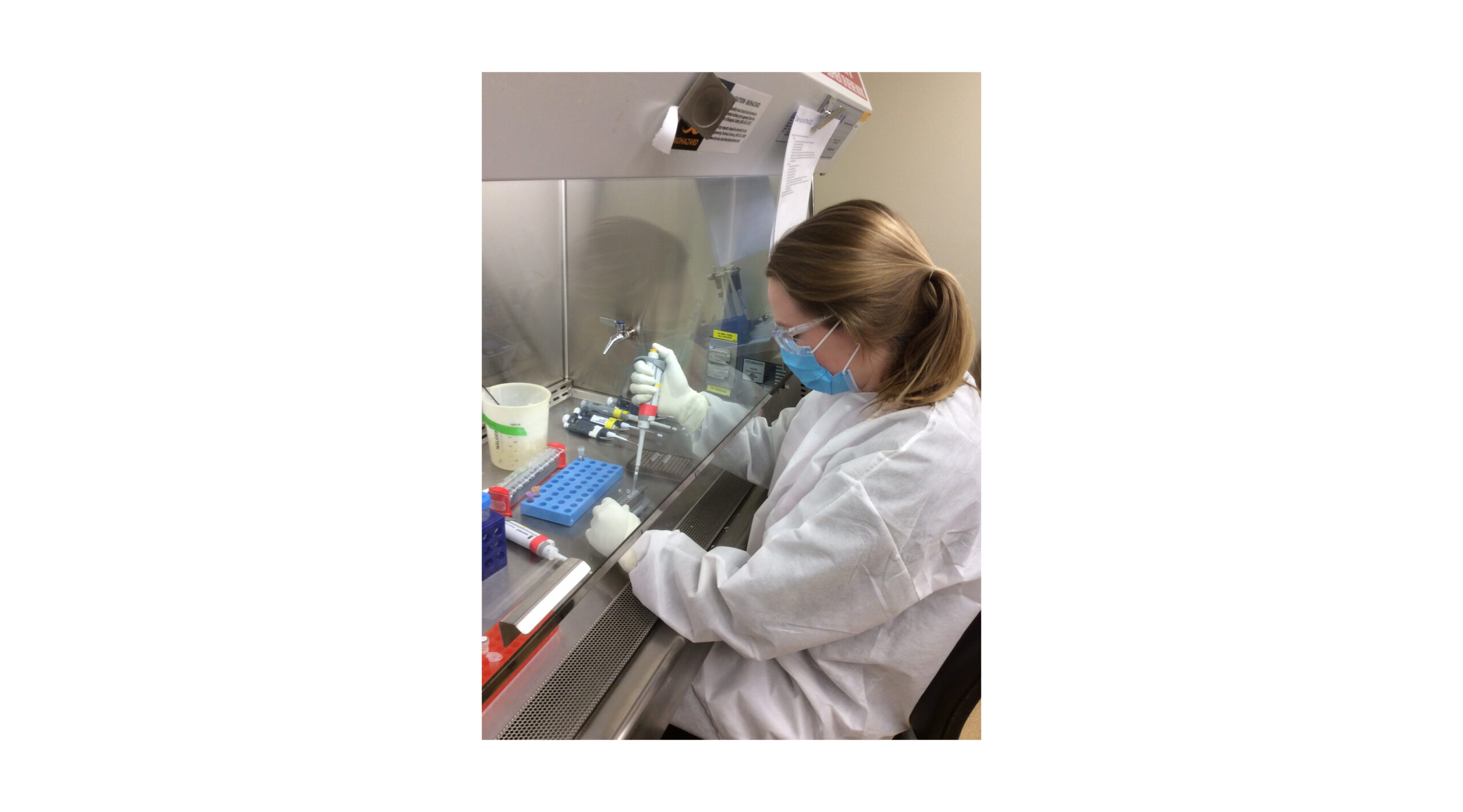 UW-Madison viral sequencing catches mutations, guides effective public health response