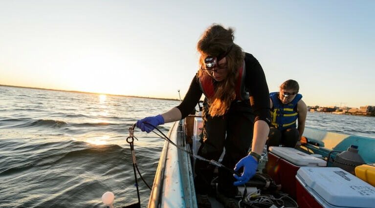 UW-Madison research: Invasive species often start as undetected “sleeper populations”