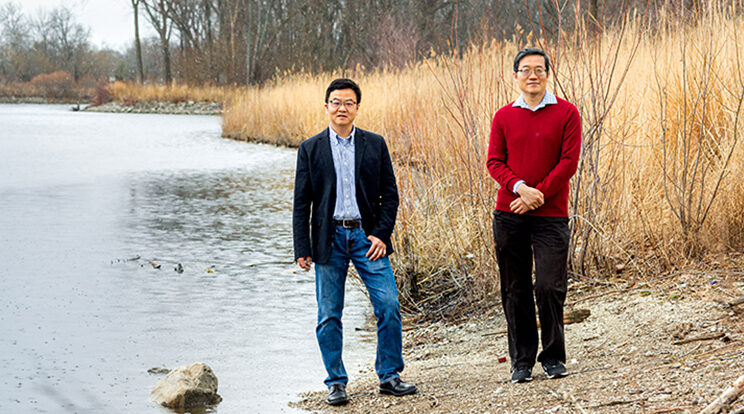 UWM researchers find that beavers could be a remedy for downstream floods