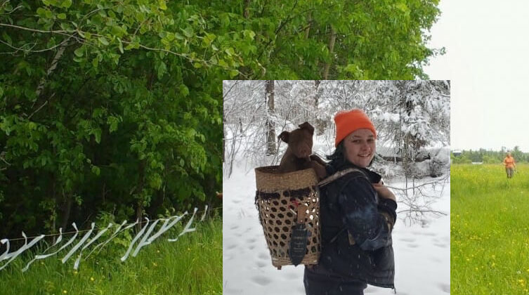 UW-Madison grad combines research, tribal traditions in wolf relationship plan