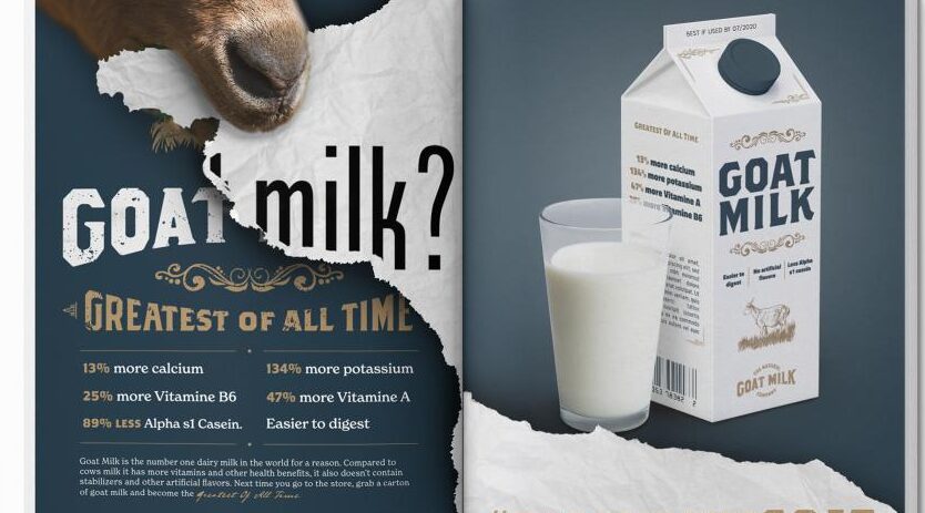 UW-Stout graphic design major’s GOAT Milk? concept gets national acclaim
