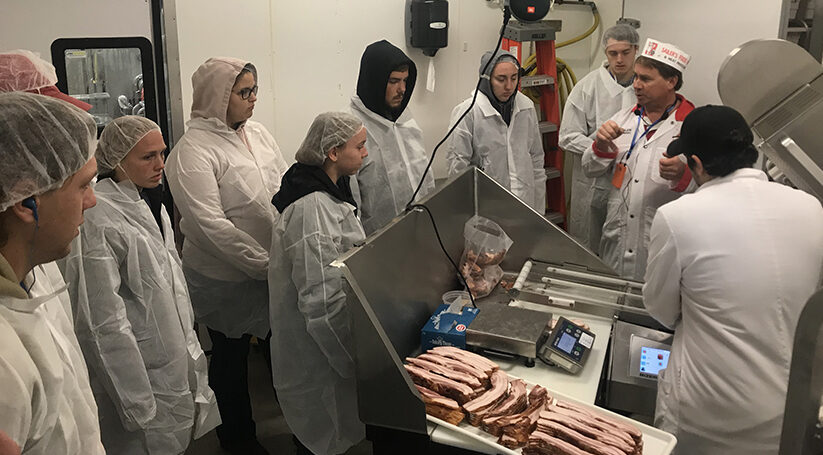 UW-River Falls to offer international dual degree program, partners with university in the Netherlands