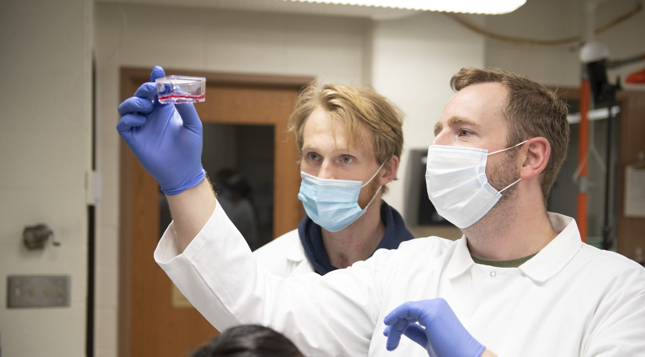 Blugold still swinging for the fences after spinal cord injury changed his life