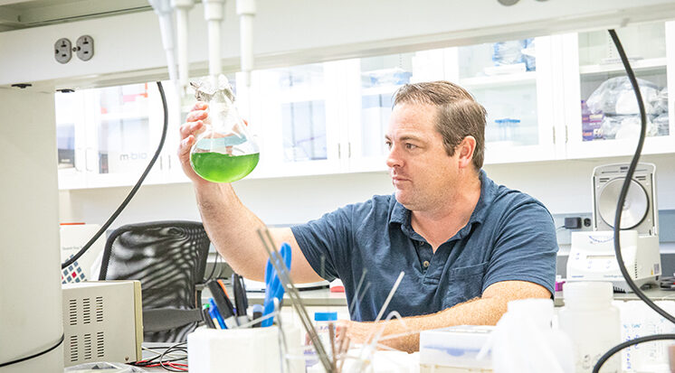 UW-Milwaukee researchers seek ways to abate warm-weather algae problem