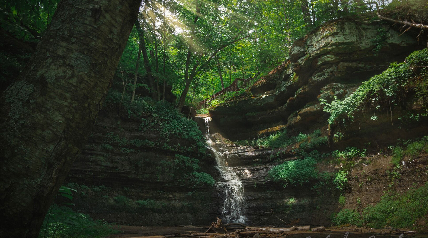 UW-Stout research at Devil’s Punchbowl identifies more than 200 plant species