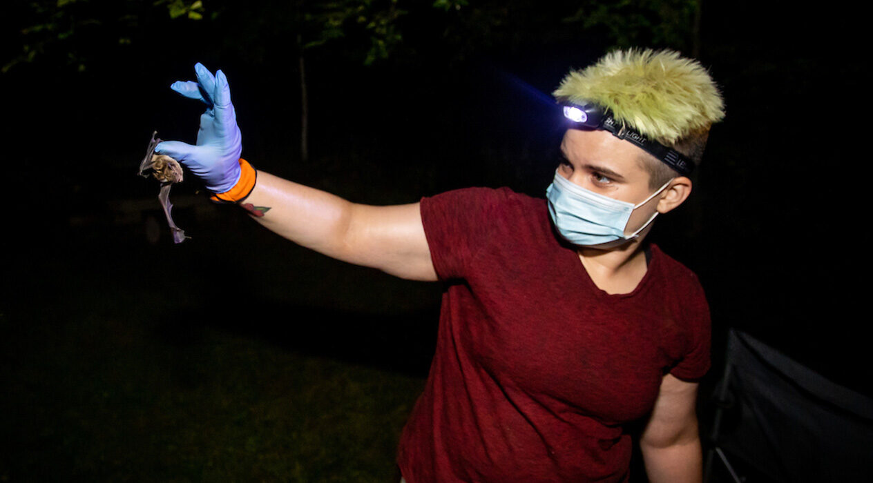 UW-Platteville student presents research on evening bat