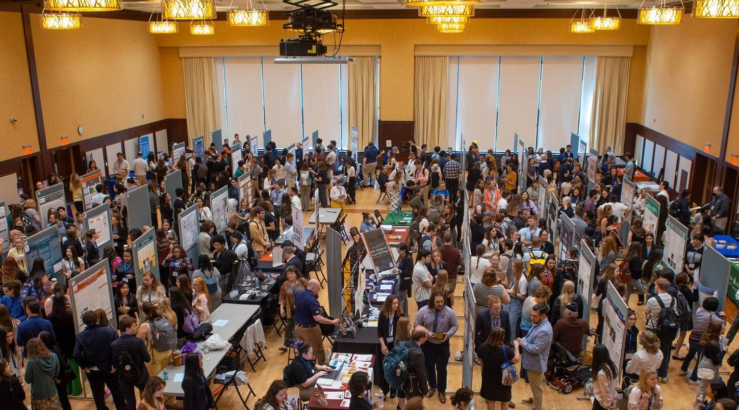 UW-Eau Claire honors faculty for outstanding work mentoring undergraduate students in research