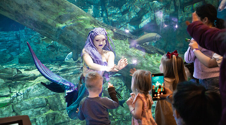 UWM Freshwater Sciences grad student makes a splash in the world of aquatic education